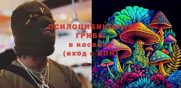 дживик Дмитров