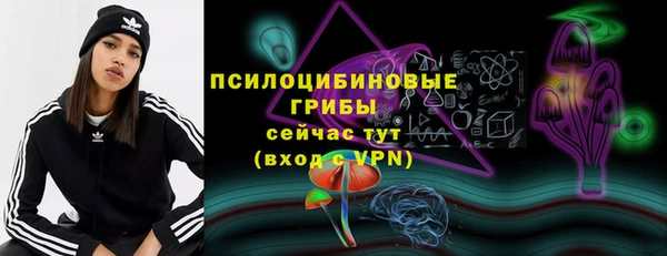 СК Дмитриев