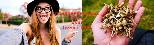 соль курить ск Дмитровск