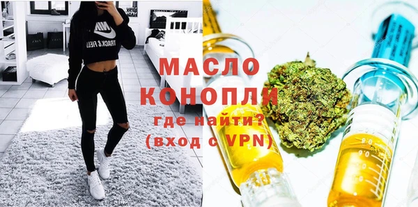 mix Богородицк