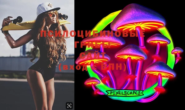 дживик Дмитров