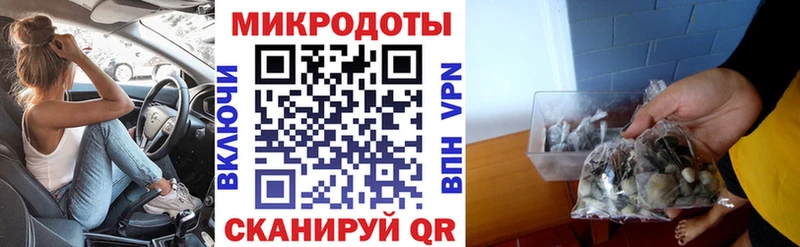 дарнет шоп Дорогобуж Галлюциногенные грибы Cubensis